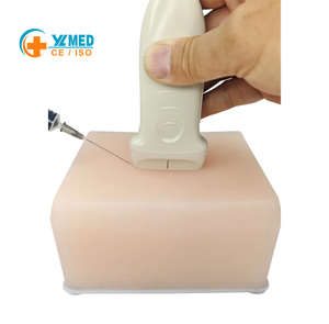 El maniquí de punción por ultrasonido incluía un modelo de <span class=keywords><strong>entrenamiento</strong></span> completo de tumores vasculares y quistes nerviosos - Product Image 1