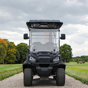 8-местный электрический гольф-кар 48В, разрешенный для дорог общего пользования, со светодиодной оптикой, комплектом задних сидений, скоростью 30-50 км/ч, запасом хода 90 км – езжайте стильно - Product Image 1