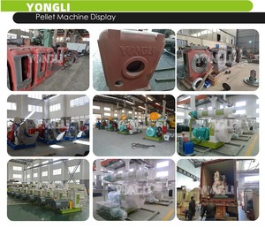 Machine à granulés de bois YONGLI, capacité de 1 à 50 t/h, certifiée CE, <span class=keywords><strong>prix</strong></span> de fabrication en usine, <span class=keywords><strong>presse</strong></span> à granulés pour sciure de bois, balle de riz - Product Image 6