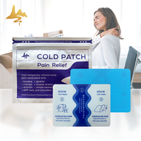 8 pièces/sac, patch froid à base de plantes chinoises pour le corps, le genou, l'épaule, les articulations, patch apaisant