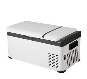 Cooler Box Compressor Cooler Box DC 12/24v Portable Refrigerator Cooler Box Outdoor Camping Fridge Mini Compressor Car Fridge Freezer