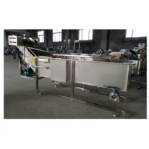 1500-2000kg/h Air Bubble Fruit Washer for Grape And Lemon