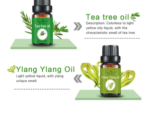 Aceite de árbol de té/menta/<span class=keywords><strong>eucalipto</strong></span> natural al por mayor aceite esencial de masaje a granel fragancia de perfume <span class=keywords><strong>esencia</strong></span> original - Product Image 4