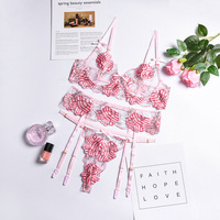 Vente en gros d'usine de lingerie pour écolière japonaise fille arabe sexy sous-vêtements garçons sexy en sous-vêtements photos nuisette sexy