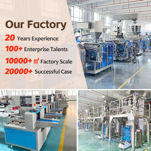 Fully Automatic Doypack Packaging Machine for Powder Coffee Tea Food Automatic Filling Sealing System - Product Image 6