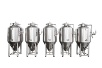 Fermenteur conique à double enveloppe en acier inoxydable 304, unitank isobare, cuve de fermentation de bière pour brasserie artisanale, microbrasserie