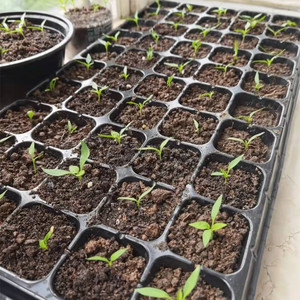 Bán buôn nhựa sâu di động Cây Giống khay Khay Tuyên Truyền Khay Hạt Giống Nảy mầm khay - Product Image 6