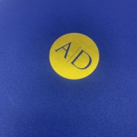 Emballage de boîte cadeau personnalisé de luxe EVA insert VIP carte de crédit carte cadeau présentation or estampage à chaud impression