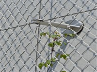Sistem Kabel Jaring Kawat Rajut Yuntong YT-black Oxide Mesh yang Handal dan Berkualitas Tinggi untuk Jaring Tanaman Merambat pada Fasad Hijau