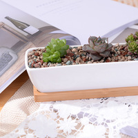 Pots à plantes succulentes en ciment rectangulaires carrés, petits pots de fleurs pour cactus avec plateau pour plantes vertes