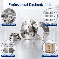 Bride en acier au carbone DIN Standard DN15 DN20 DN25 DN32 PN16 RF, entièrement usinée CNC, sur mesure OEM, faible MOQ, livraison rapide