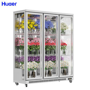 Refrigeración por aire Flor de corte fresco <span class=keywords><strong>Floreria</strong></span> 2 Frigoríficos de puerta de vidrio para exteriores de doble puerta con pantalla de temperatura única a la venta - Product Image 3