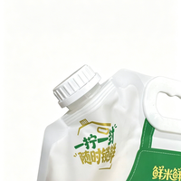 Pochette à bec verseur personnalisée en PET, PA, PE avec poignée pour l'emballage du riz, sac en plastique de qualité alimentaire avec bouchon à vis pour le stockage des céréales