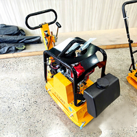 Compacteur de plaques portable de qualité supérieure à prix avantageux avec moteur essence/diesel/électrique de 6,5 CV pour équipement de construction