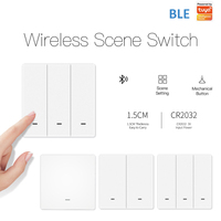 Tuya smart life-interruptor inalámbrico de 2 entradas, control remoto por aplicación, wifi ble, botón pulsador de escena, funciona con batería