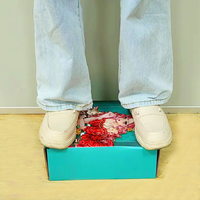 Cajas de Cartón Corrugado Blancas para Envíos, con Materiales Reciclados y Forro de Esponja, Impresión de Logotipo Personalizado, para Ropa, Precio de Fábrica