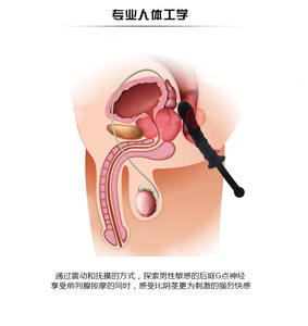 Back Court Silicone Anal Plug Combination Teasing Adjustment Adult Products Sex Toys SM Sex Toy Open Ass Adult Pleasure Toys - Product Image 2