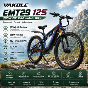 Vélo de route électrique Vakole EMT29 12S EU Warehouse 250W 750W Peak Torque Sensor Shimano 12 vitesses 29 pouces - Product Image 1