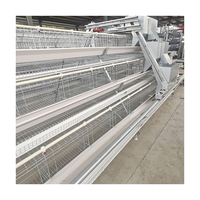 Egg Layer Battery Chicken Cage System