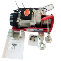 PA type PA250kg PA500 500kg 220v moteur 1000kg petit mini câble électrique poulie palan à chaîne