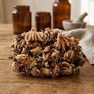 Dactylorhiza Hatagirea Dried Root Dactylorhiza Hatagirea Herbal Root Salam Panja Dried Tuber - Product Image 3