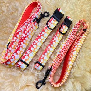 環境にやさしいコレアパラペロ昇華ネオプレン両面熱伝達プリントドッグハーネス - Product Image 3