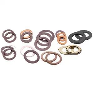 OEM ODM Filled PTFE Carbon Brass Copper Bronze Piston Rod Packing Rings CNG Compressor Spare Parts