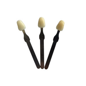 Guide de teinte en résine 16 couleurs pour l'association des couleurs dentaires, accessoires de matériel dentaire transfrontalier en gros - Product Image 1