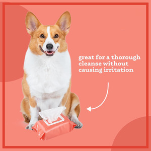 Atacado Grande Tamanho Espessado Toalhetes De Limpeza Toalhetes Não Tecidos para <span class=keywords><strong>Pet</strong></span> Body Cleaning <span class=keywords><strong>Wipes</strong></span> - Product Image 5