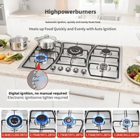Cuisinière à gaz multifonctionnelle en acier inoxydable, portable et encastrable, à brûleurs multiples, au gaz liquéfié – En stock – Offre spéciale