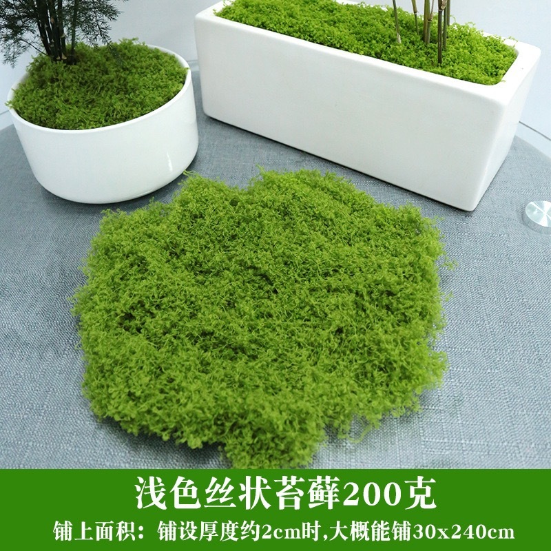สีเขียวอ่อน 200g