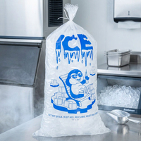 Sacs à glace en plastique LDPE jetables à grande capacité avec logo personnalisé imprimé, 8/10/20 LB, sacs à glaçons avec cordon de serrage