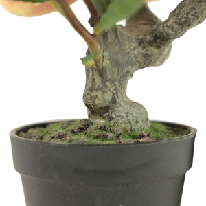 Árbol de fruta de melocotón, árbol de bonsái Artificial de alta calidad, con <span class=keywords><strong>precio</strong></span> competitivo - Product Image 5