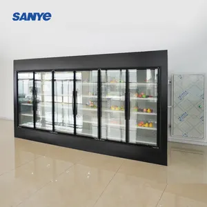 5m Walk in refroidisseur congélateur verre affichage réfrigérateur boisson lait vin équipement de réfrigération 220V chambre froide stockage
