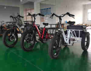 Triciclos eléctricos DOMAIN de 3 ruedas y 500W, la mayoría de triciclos eléctricos de tres ruedas vendidos para carga, 2024 - Product Image 2