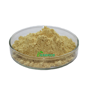Nhà máy tự nhiên chiết xuất Panax Ginseng lá chiết xuất 5% ~ <span class=keywords><strong>80</strong></span>% ginsenosides <span class=keywords><strong>UV</strong></span> Châu Á Nhân Sâm lá chiết xuất bột - Product Image 3