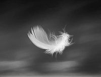 Feather Matratze Topper King Down Feather Überfüllte 2 "Thick Soft Fluffy und Warm Duck Feather Matratze Topper