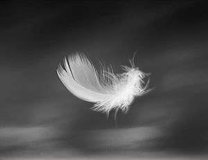 <span class=keywords><strong>Surmatelas</strong></span> en plumes roi plume trop remplie 2 "d'épaisseur doux <span class=keywords><strong>moelleux</strong></span> et chaud plume de canard <span class=keywords><strong>surmatelas</strong></span> - Product Image 6