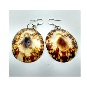 Décor de plage marron ivoire ovale limpet coquille de mer patte escargot coquille approvisionnement en vrac poli coquille d'escargot artisanat du Vietnam - Product Image 3