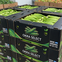 Boîte d'emballage pour légumes en plastique PP creux, pour légumes et fruits, maïs, gombo et emballage agricole