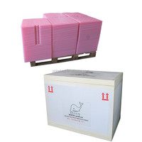 -25 deg C HDPE brique de glace de qualité alimentaire Pcm éléments de refroidissement durables pour refroidisseur de glace pack congélateur Durable médical glacière