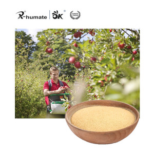 Engrais organique hydrosoluble à base de poudre d'acides aminés et de <span class=keywords><strong>zinc</strong></span> (25 % d'acides aminés chélatés, 12 % de <span class=keywords><strong>zinc</strong></span>) pour l'agriculture - Product Image 2