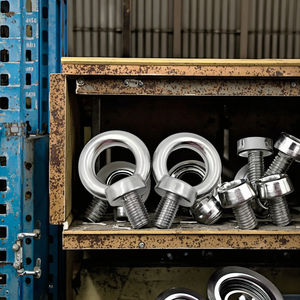 Kit Geral Pesca Industrial com Aço Carbono Eyebolt Plain Finish Sheep <span class=keywords><strong>Eye</strong></span> <span class=keywords><strong>Bolt</strong></span> Circle - Product Image 4