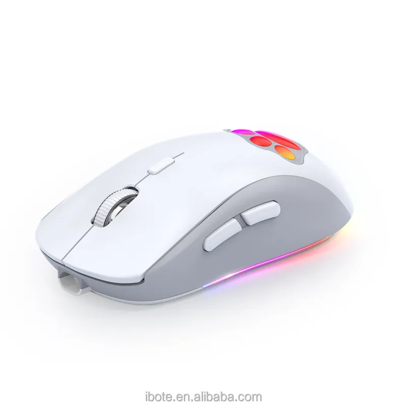 New private model cat claw cartoon 2.4g/BT5.1 dual-mode wireless mouse polymer 650 mAh Type-C charging port RGB quiet girl mouse