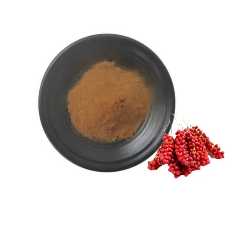 Free sample natural Schisandra chinensis extract powder organic Schisandra Extract