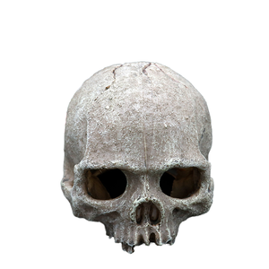 ของตกแต่งตู้<span class=keywords><strong>ปลา</strong></span>ตู้ปลาตู้ปลาลายแมงป่องงูงูใหญ่สไตล์โรมันการเพาะพันธุ์กะโหลกศีรษะของตกแต่งบ้านฮาโลวีน - Product Image 6