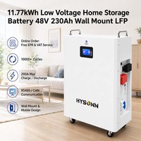 Batterie de stockage domestique basse tension Hysonn 11,77 kWh 48 V 230 Ah murale LFP pour projets d'installation et support de marquage OEM/ODM