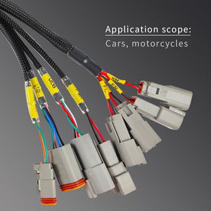 Fabricant <span class=keywords><strong>de</strong></span> faisceaux <span class=keywords><strong>de</strong></span> câblage automobile sur mesure, assemblages <span class=keywords><strong>de</strong></span> câbles automobiles OEM, faisceaux <span class=keywords><strong>de</strong></span> câblage et faisceaux électriques pour voitures avec connecteurs DT - Product Image 2