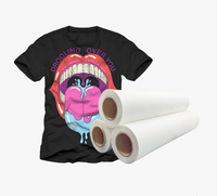 Film PET de transfert DTF 24 pouces/60cms Film PET en rouleau pour imprimante à jet d'encre numérique T-shirt