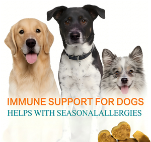 Probiotiques OEM Allergy&Immune pour chiens, santé de la peau et du pelage, comprimés à mâcher quotidiens pour la digestion intestinale, complément alimentaire naturel pour animaux de compagnie - Product Image 5